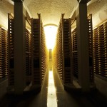 The cellars of Fort Saint-Antoine